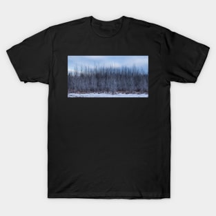 Cold Winter Scene. T-Shirt